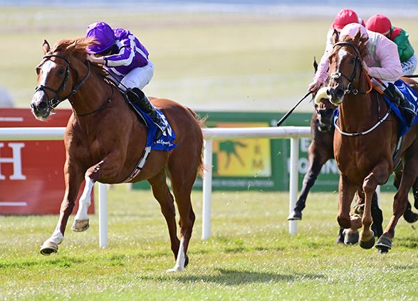 Wordsworth seen here under Ryan Moore at the Curragh