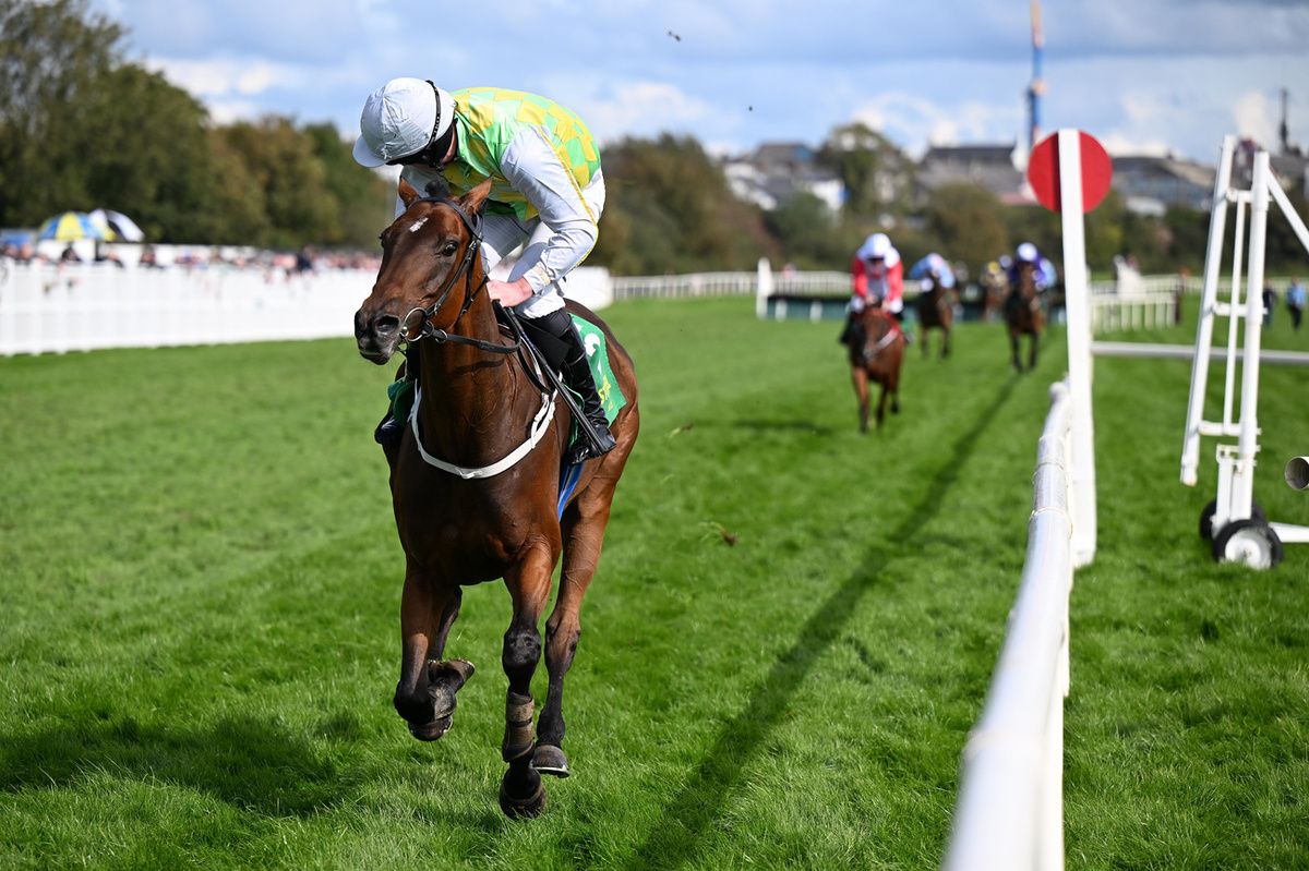 Listowel 23-September-2025I'll Sort That won for jockey & trainer Declan Queally.Healy Racing