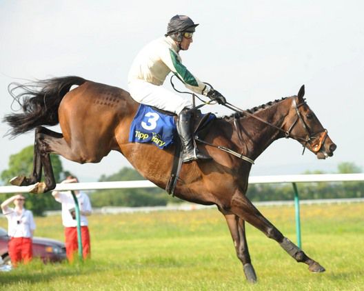 Farinelli in action at Tipperary