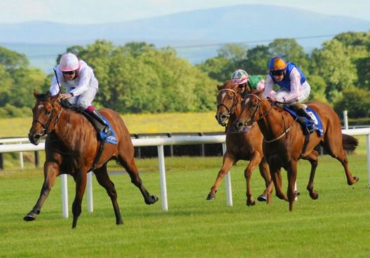 Colm O'Donoghue aboard Dandy Boy