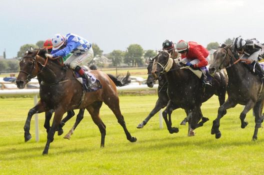 Trikirk and Pat Smullen (Left) beat Roseska and Scrupulous