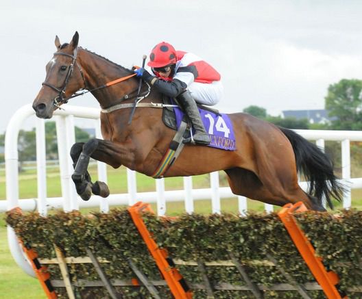 Gougane and Conor O Farrell win for trainer John Joseph Hanlon  