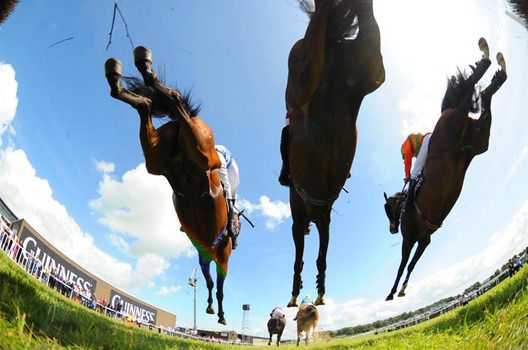 Runners in The Perfect Pint Beginners Chase jumping out over the 1st fence 