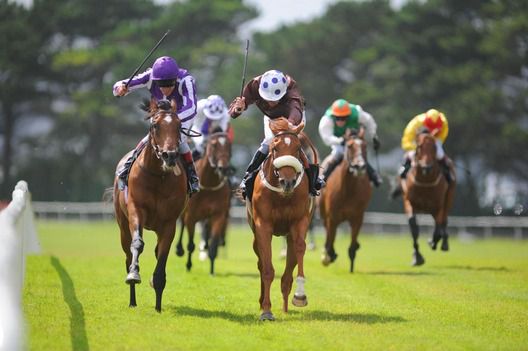 Black Quartz (left) just gets the better of Corcovada