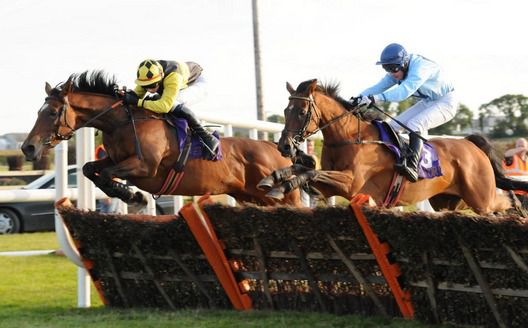 Imperial Belle and Conor O Farrell (left) win from Conker Nails for trainer Joanna Morgan 