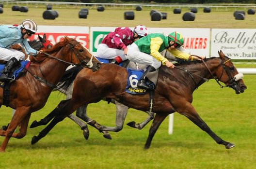 Perfect Polly and Fran Berry (near) beat Snaefell and Aine for trainer Jim Ryan