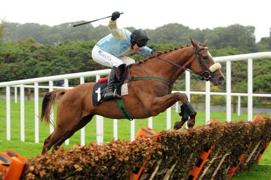 Asigh Pearl and Paul Carberry clears the last to win for trainer Noel Meade 