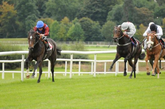 Ave strides clear of her rivals in the big race of the day at Gowran.