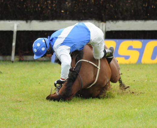 Kalellshan falls at the final fence with the race at his mercy