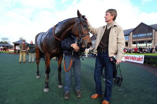 Shinrock Paddy with owner Barry Connell