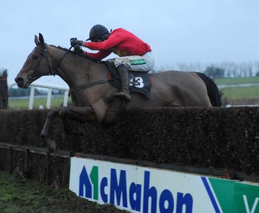 Tullintain and Derek O'Connor in action at   Limerick