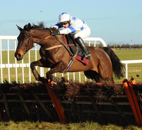 Kylebeg Krystle and Denis Hogan clear the final flight at Thurles