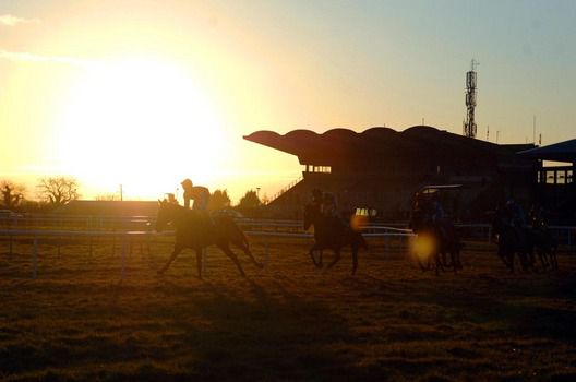 Inspection at Fairyhouse