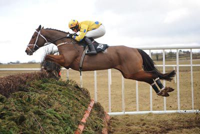 Let Yourself  Go and Shane Hassett clears the last