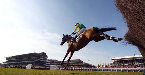 Sizing Europe in action at Cheltenham