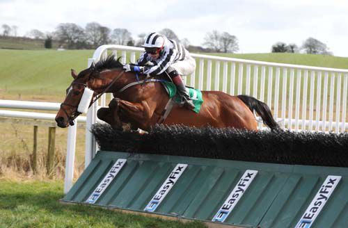 Ilikeyou and Luke McNiff clears the last to win for his brother Mark McNiff 