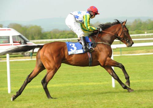 Ballyronan Boy and Ronan Whelan  pictured on the way to the start at Tipperary