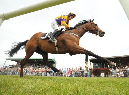 Admiral Barry and Liz Lalor win the opening race at Tramore this evening for trainer Eoin Griffin