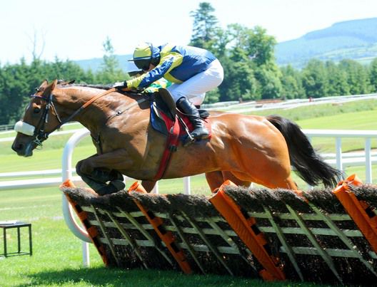 Abbey Lane and Paul Carberry turn over hot favourite   Spanish Auriga for trainer Gordon Elliott 