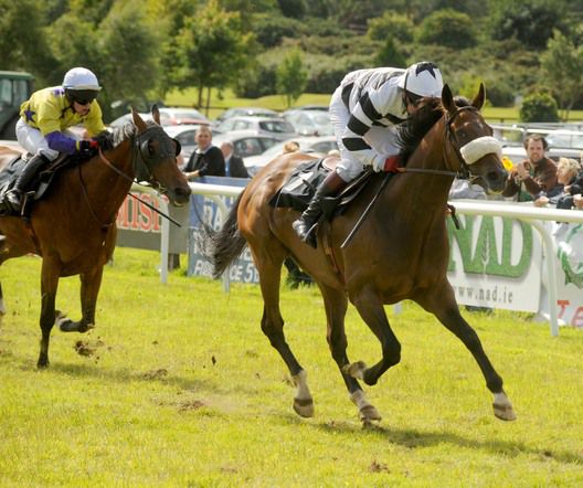 Mojito Royale and Micky Butler beat Nans   best for trainer Eoin Doyle 