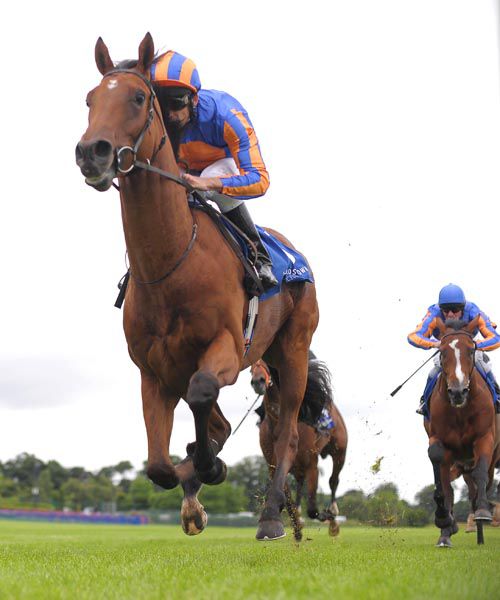 Zoffany (Johnny Murtagh) wins the Tyros Stakes