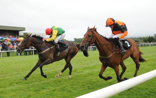 Queiros Bleu (far) and Andrew Lynch swoop through to beat Casey Top for trainer Henry de Bromhead