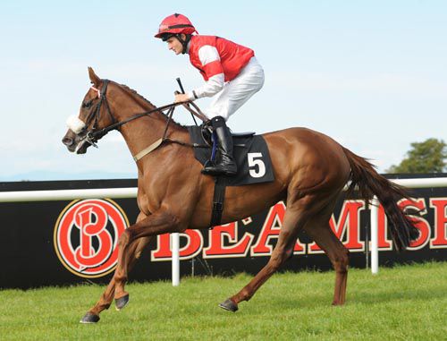 French Express and Shane Foley on their way to post at Bellewstown