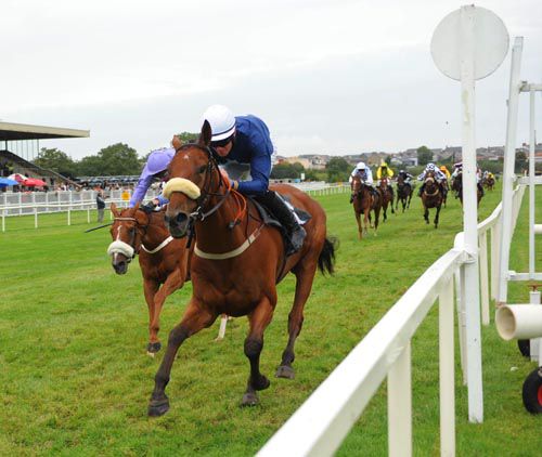 The Shepherd King and Robbie McNamara pass the 'lollipop' stick in front at Listowel