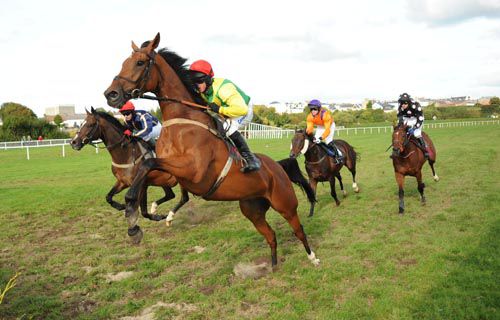 Loosen My Load lets fly at a fence on the way to an impressive win