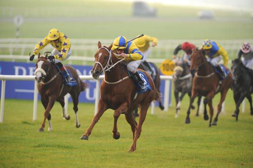 Silver Shuffle & Kieran O'Neill are clear at the Curragh