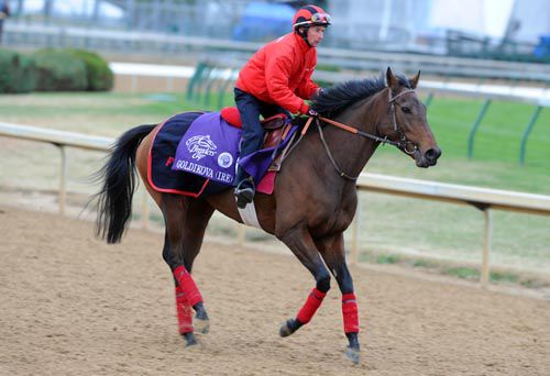 Goldikova will be inducted into racing Hall Of Fame 