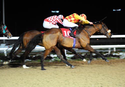 Dash Back (Shane Foley) gets up on the nearside to beat Tornadodancer (Pat Smullen)