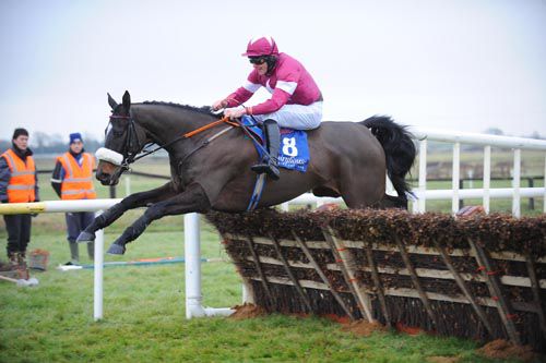 Toner D'Oudairies jumps the last to win at Fairyhouse earlier this month