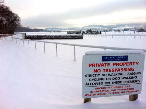 Leopardstown covered in 8 inches of snow