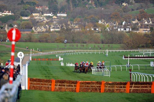 Runners turn into the home straight at Cheltenham