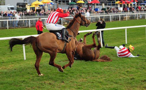 Talkin' Tough falls leaving Rookery Rebel in front