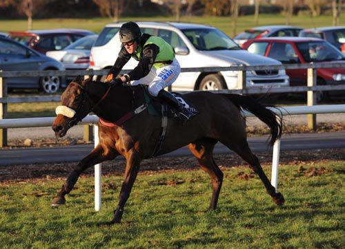 Shadow Eile strides home