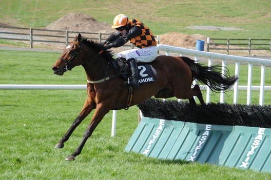 Benefique (Brian O'Connell) jump the last in the mares maiden hurdle