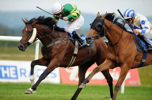 Whatever It Takes (cheekpieces) pictured winning at   Roscommon recently