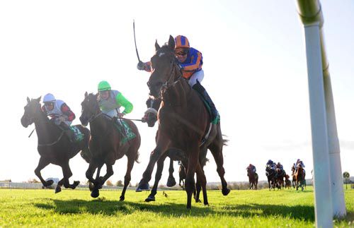 Tower Rock keeps them all at bay at Navan