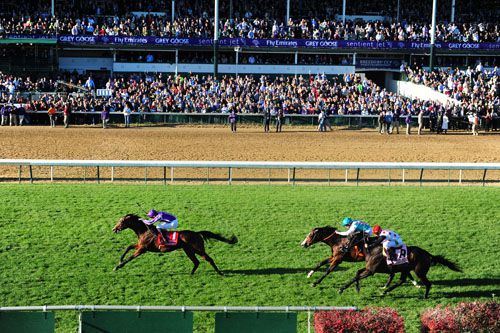 Joseph O'Brien winning the Breeders Cup Turf on St Nicholas Abbey