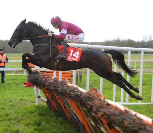 Trifolium springs over a hurdle on his way to an easy win under Davy Russell