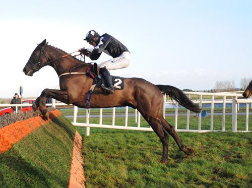 Dog Barrel Hill under Andrew McNamara jumps the last on his way to victory