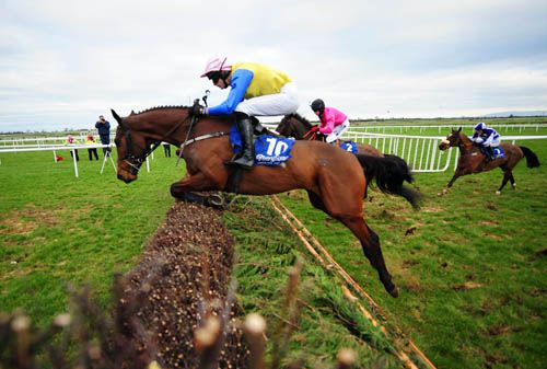 Zardsky jumps a fence under Damien Murphy early on in the race