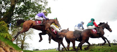 Uncle Junior seen at Punchestown