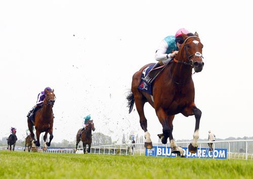 Frankel