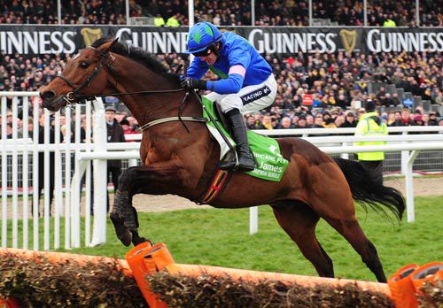 Cheltenham 2013 Hurricane Fly and Ruby Walsh Jump The Last To Win The Stan James Champion Hurdle 