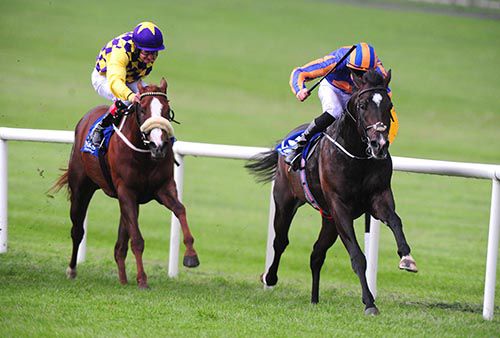 DUE DILIGENCE and Joseph O Brien winning for trainer Aidan O Brien at Naas