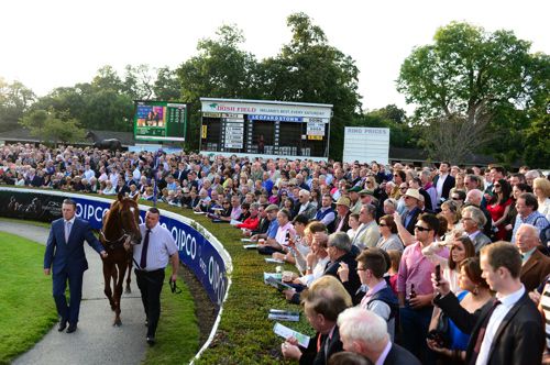 Australia prior to his final race at Leopardstown