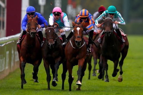 Gleneagles crowds his rivals at Longchamp